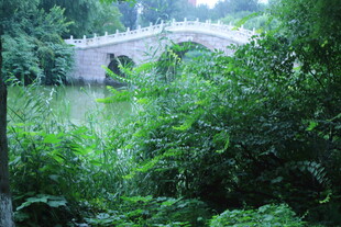 公园风景  