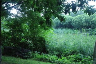公园风景  