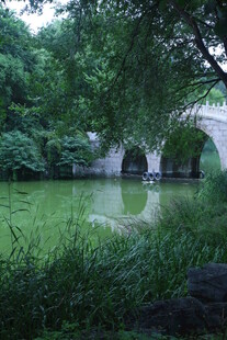 公园风景  