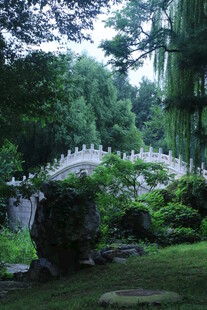 公园风景  