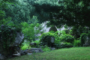 公园风景  