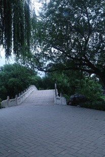 公园风景  