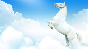 腾空白马 傲立云端