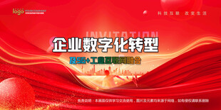 会议背景