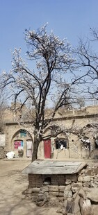 乡村老旧庭院场景