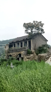 荒废老屋隐于葱郁草地