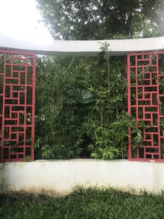 中式红格窗后的绿意景致