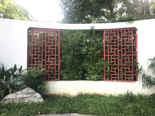 中式镂空墙下的绿植景致