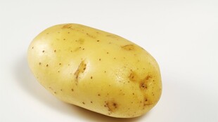 土豆