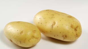 新鲜土豆
