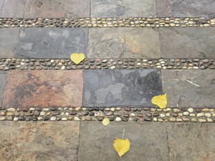 石板路上的黄色心形落叶