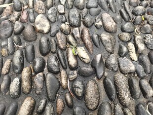 鹅卵石地面纹理特写