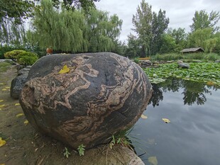 湖畔奇石静卧碧水绿树间