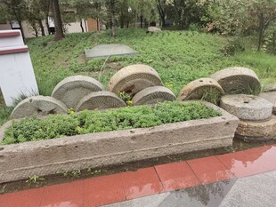 轮胎创意绿植景观