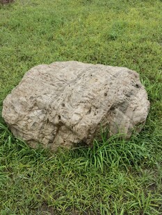 草地上的一块大石头