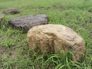 草地上的两块大石头