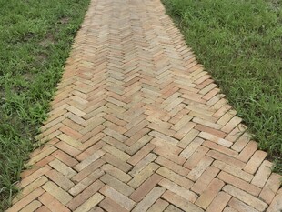 砖砌人字形小径绿意环绕