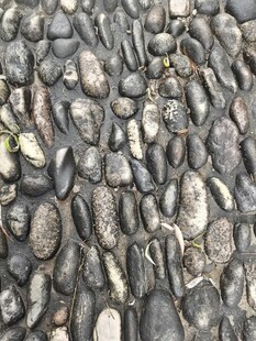 鹅卵石路面纹理特写