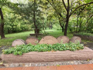 林间石景自然静谧景致