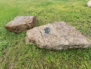 草地上的几块大石头