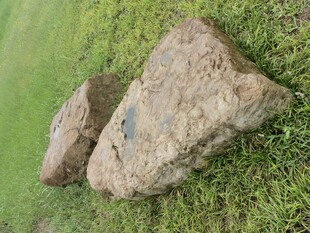 草地上的两块大石头