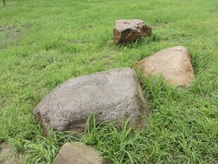 草地上的几块大石头
