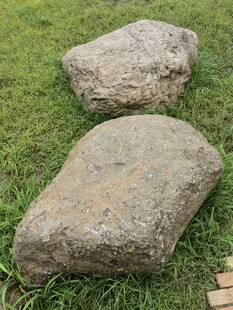 草地上的两块大石头