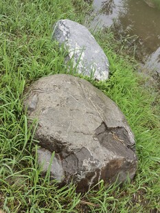 草地上的灰色石头