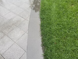 草地与瓷砖地面的边界