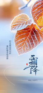 霜降时节秋叶飞鸟之景