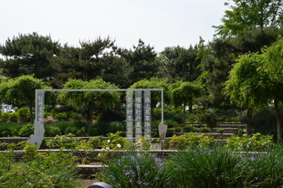 公园风景  