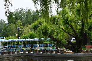 公园风景 