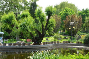 公园风景  