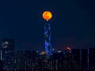 广州塔月夜美景