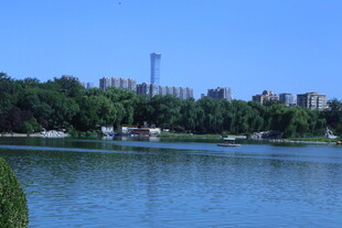 公园风景  