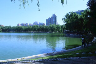 公园风景 
