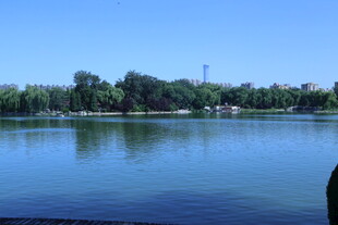 公园风景  