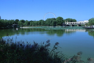 公园风景  
