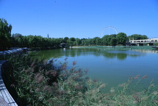 公园风景  