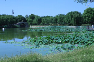 公园风景  