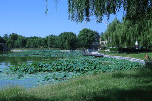 公园风景 