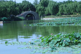 公园风景  