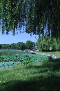 公园风景  