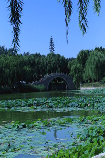 公园风景 
