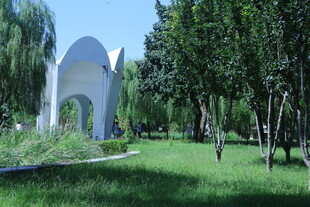 公园风景  