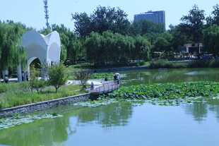 公园风景  