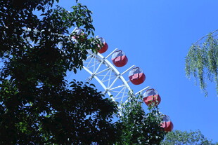 公园风景 