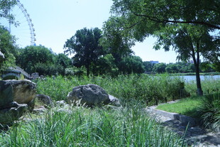 公园风景 
