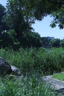 公园风景 