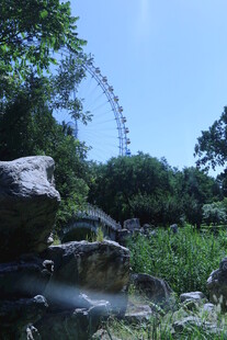 公园风景  
